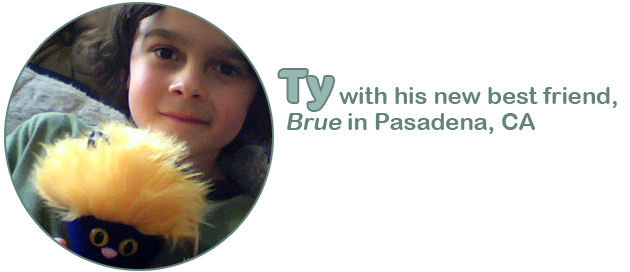 brue_km